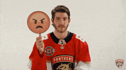 florida panthers hockey GIF