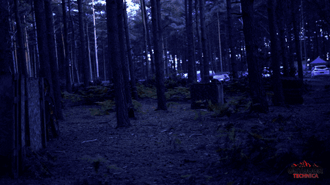 OutdoorTechnica giphyupload digital camera nightvision GIF