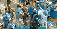 Regular Season Football GIF by NFL