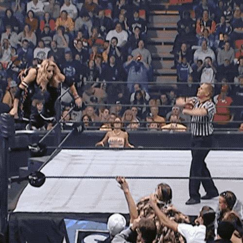 Survivor Series Wwe GIF by Trish Stratus