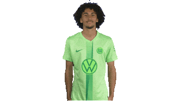 France Football Sticker by VfL Wolfsburg