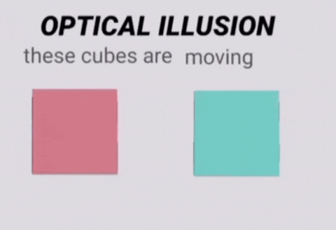 Cube Optical Illusion GIF