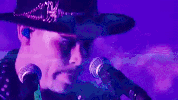 love to live dreams the band GIF by DREAMS