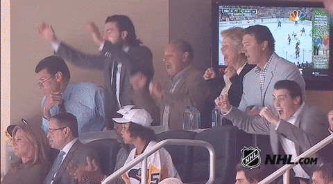 ice hockey GIF by NHL
