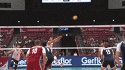 Bartosz Kurek Reaction GIF by Volleyball World