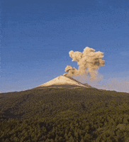 Don Goyo Mexico GIF by Luis Ricardo