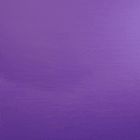 Clemsonsoftball GIF by Clemson Tigers