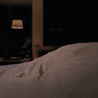 Happy Over It GIF by Jackson-Triggs