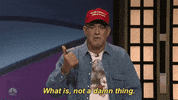 Episode 4 Snl GIF by Saturday Night Live