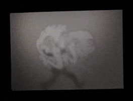 GIF by Neil Sanders