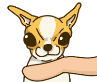 Animation Dog Sticker