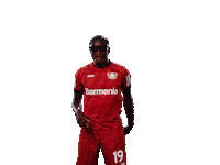 Bayer 04 Werkself Sticker by Bayer 04 Leverkusen
