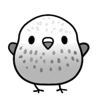 Black And White Happy Dance Sticker