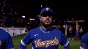 World Baseball Classic Sport GIF by MLB