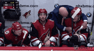 Ice Hockey Sport GIF by NHL