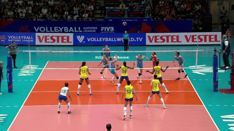 GIF by Volleyball World