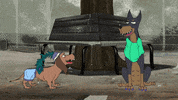 laugh wtf GIF by Cartuna