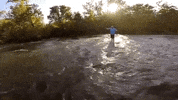 ohio GIF