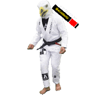 Grappling Bald Eagle Sticker by Academy Jiu-Jitsu