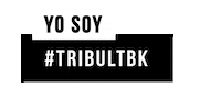 shopLTBK tribultbk shopltbk letthembekidss yosoytribu Sticker