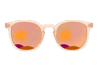 Sunglasses Sticker by Apollo Optik