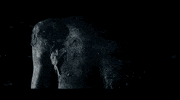 Sxsw GIF by Signature Entertainment