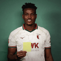 Bundesliga Gelbe Karte GIF by FC Augsburg 1907
