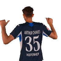 Sport Bundesliga Sticker by TSG Hoffenheim