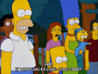 homer simpson GIF
