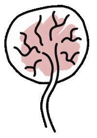 cardemom birth placenta geboorte treeoflife Sticker