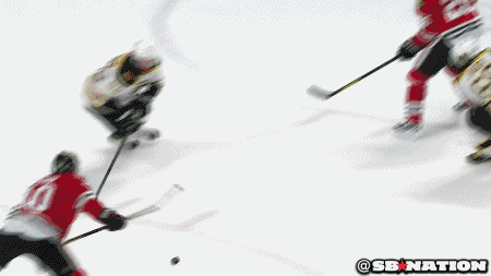 nhl GIF by SB Nation