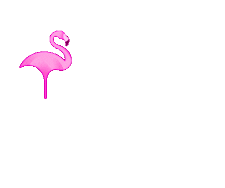 pinkflamingogoldcoast giphyupload pink fabulous flamingo Sticker