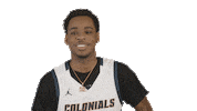 Western Connecticut State University Basketball Sticker by WCSU