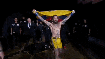 Mixed Martial Arts Sport GIF by UFC