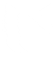 Cat Art Sticker