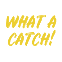 Tkr What A Catch Sticker by Knight Riders Sports