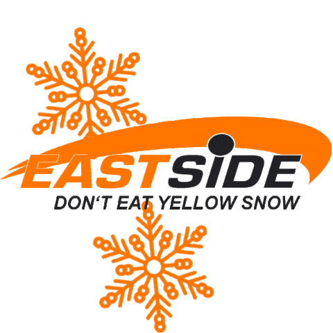 FunSportVision giphyupload snow winter snowfall Sticker