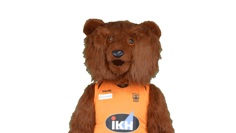 Sport Bear Sticker by Basket_fi