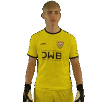 Ball Goalkeeper Sticker by BFC Dynamo