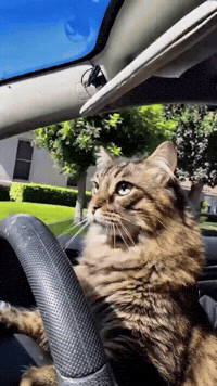 Driving On The Way GIF
