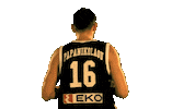 Game Nba Sticker by FIBA