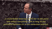 Adam Schiff Impeachment GIF
