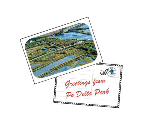 parcodeltapo giphyupload nature bird bike Sticker