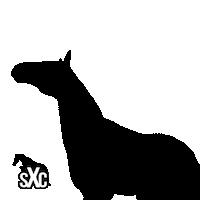Sxc Sticker by Super X Country