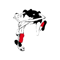 Hockey Sporting Sticker by SHCCalais