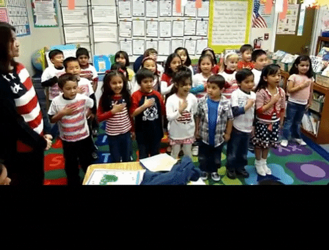 spsweeney91 giphygifmaker respect american flag patriotic GIF