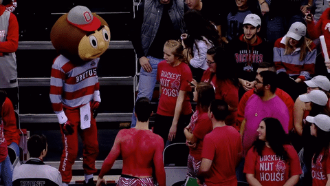 Ncaa Sports GIF by Ohio State Athletics