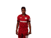Bayer 04 Werkself Sticker by Bayer 04 Leverkusen