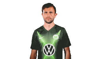 Admir Mehmedi Soccer Sticker by VfL Wolfsburg