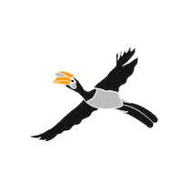 Bird Singapore Sticker by Binary Style